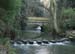 Jden_Stepping_Stones