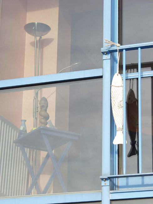 spet_Fish_Window