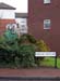 spet_Dobson_Wood_Dollies_Bush